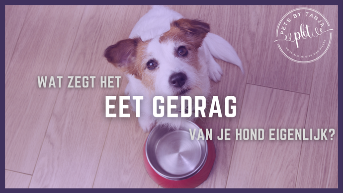 Wat je hond je probeert te vertellen met z’n eetgedrag