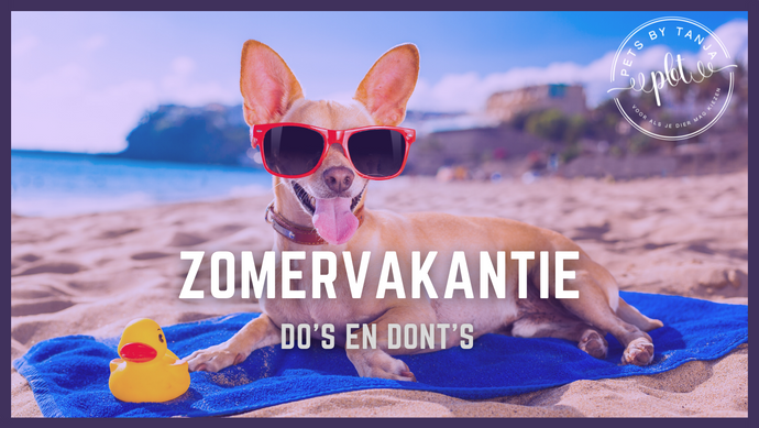 Genieten van de (zomer) vakantie met je hond